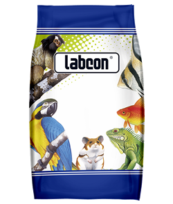 labcon club canary breeder