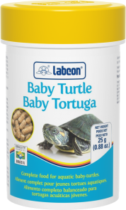 labcon baby turtle