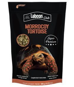 labcon club tortoise