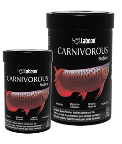 Labcon Carnivorous Surface
