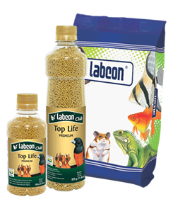 labcon club top life - premium