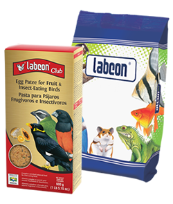 labcon club egg patee for fruit & insect-eating birds