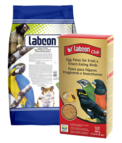 labcon club egg patee for fruit & insect-eating birds