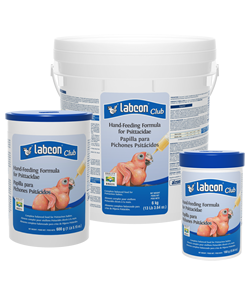 labcon club hand-feeding formula for psittacidae