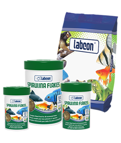 labcon spirulina flakes