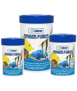 labcon cichlids flakes